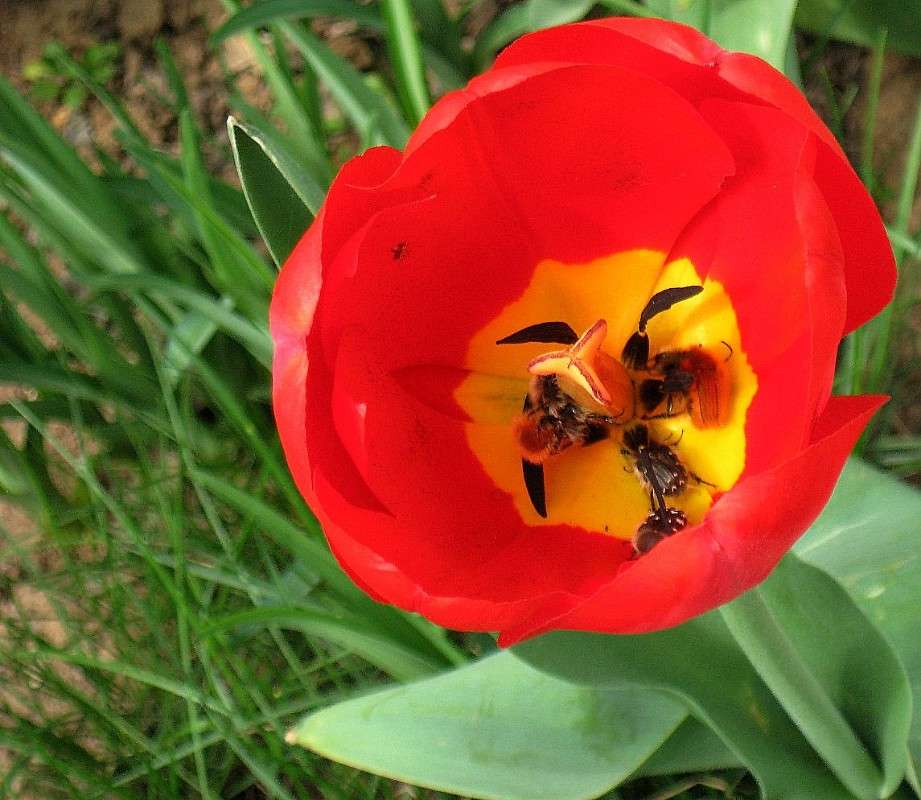 ��� � ������ ����..?) ����� Natali  ��������� �� PhotoGeek.ru #������ ��� ������� #����� �������������� #��������� #��������� #����� ��������