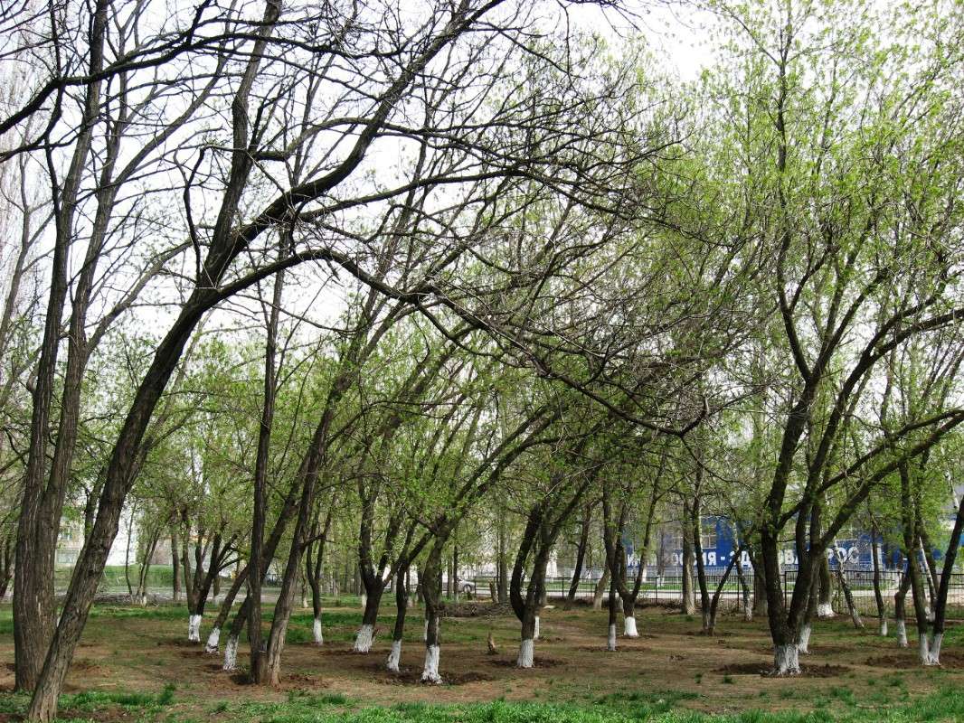 ������ �������...) ����� Natali  ��������� �� PhotoGeek.ru #����� #������ ��� ������� #����� ��������������