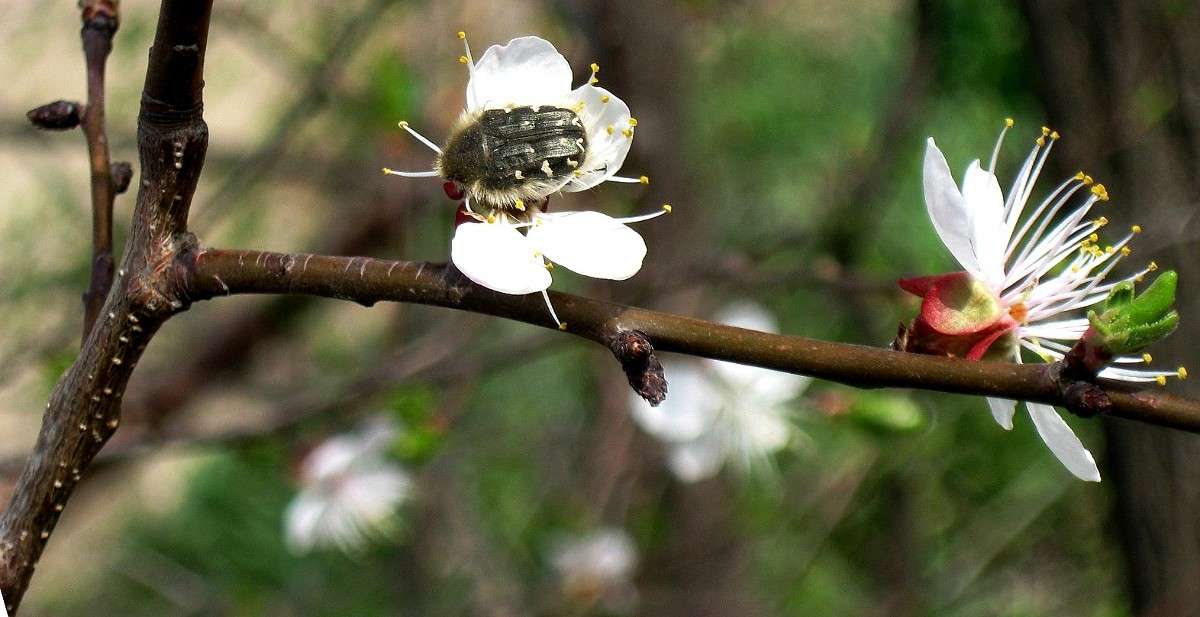 ��� ���������....) ����� Natali  ��������� �� PhotoGeek.ru #������ ��� ������� #����� ��������������