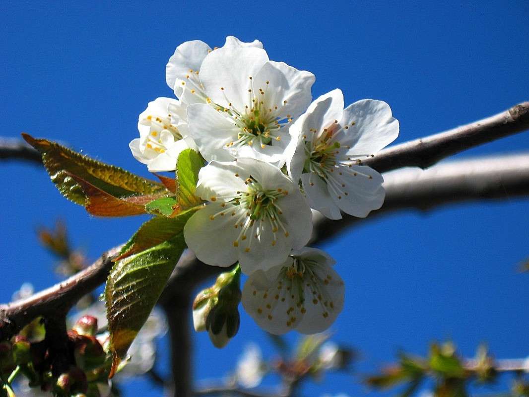 ������� ����� Natali  ��������� �� PhotoGeek.ru #������ ��� ������� #����� ��������������