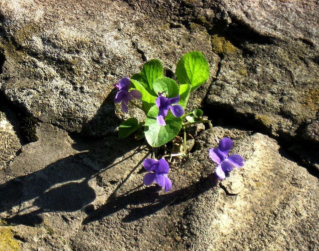 ������� ����� ����� Natali  ��������� �� PhotoGeek.ru #������ ��� ������� #����� ��������������