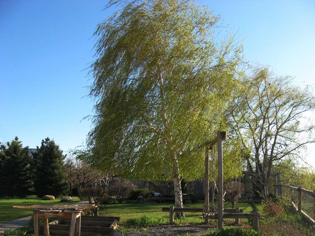 ����. �����. ������ ������. ����� Natali  ��������� �� PhotoGeek.ru #������ ��� ������� #����� �������������� #����� ��������