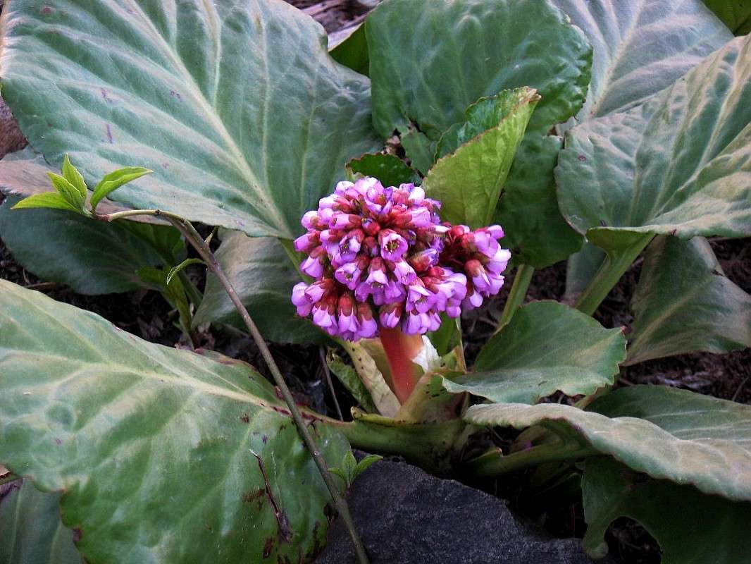 ... ����� Natali  ��������� �� PhotoGeek.ru #������ ��� ������� #����� ��������������