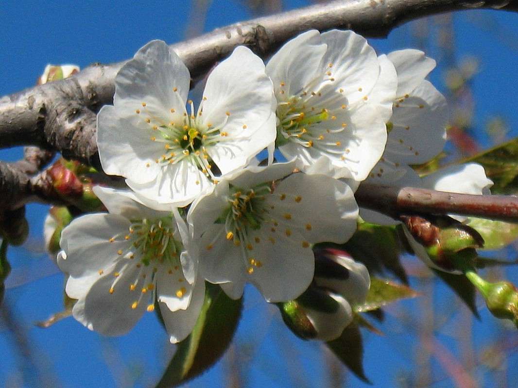 ... ����� Natali  ��������� �� PhotoGeek.ru #������ ��� ������� #����� ��������������