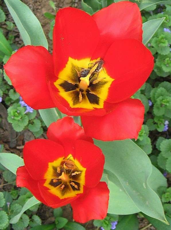 ... ����� Natali  ��������� �� PhotoGeek.ru #������ ��� ������� #����� ��������������