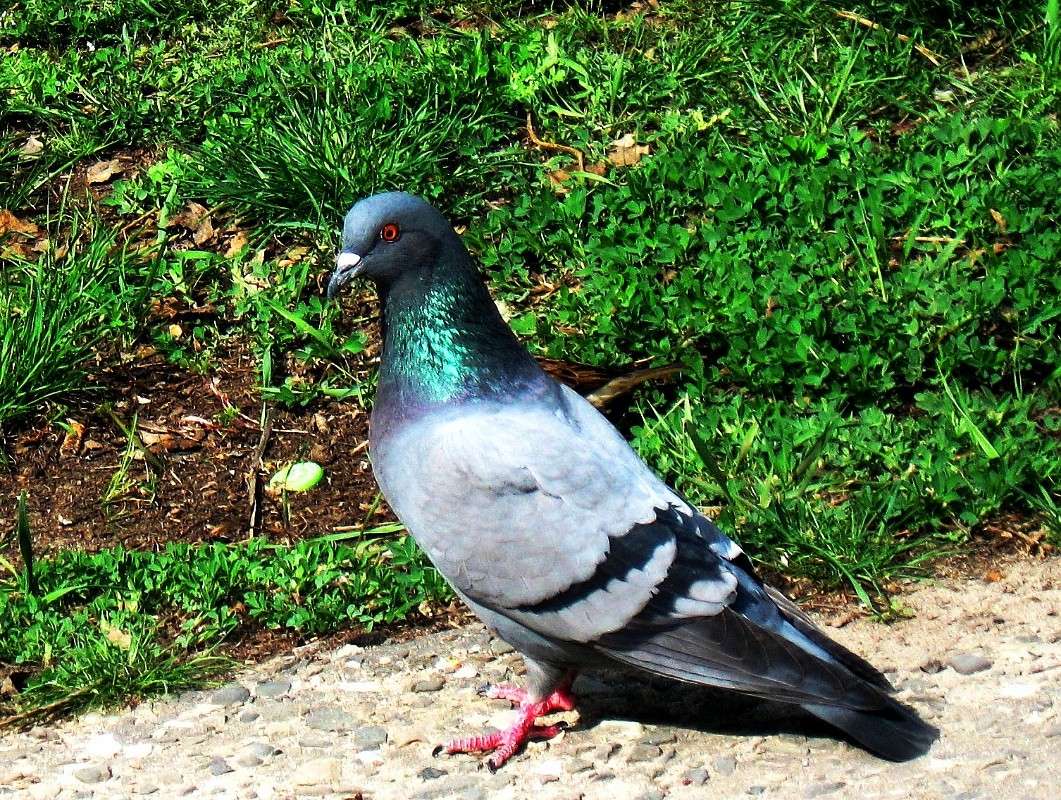 �������� ����� Natali  ��������� �� PhotoGeek.ru