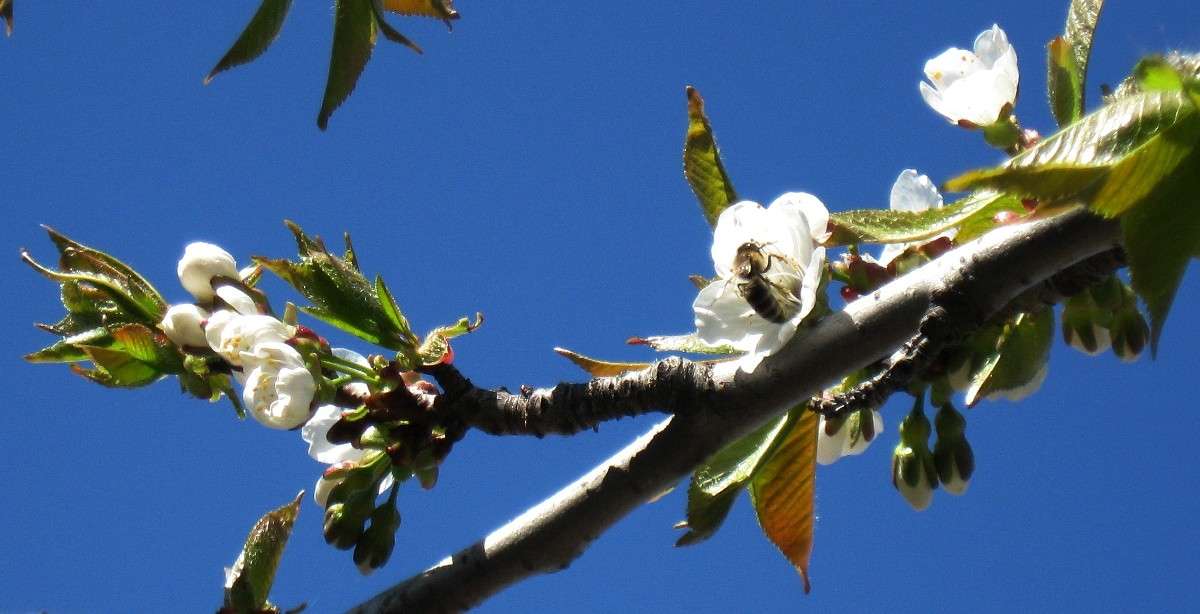 ... ����� Natali  ��������� �� PhotoGeek.ru