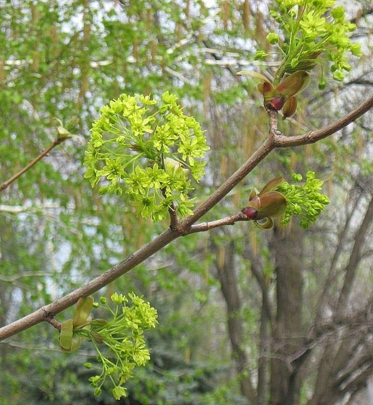 ... ����� Natali  ��������� �� PhotoGeek.ru