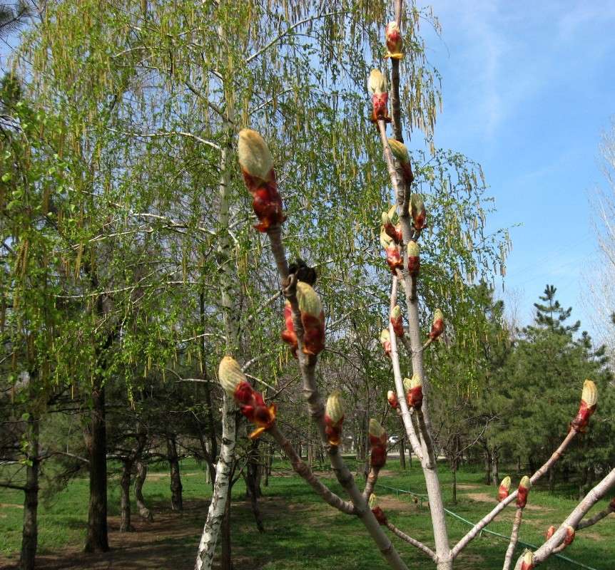 ������ ����� Natali  ��������� �� PhotoGeek.ru #������ ��� ������� #����� ��������������