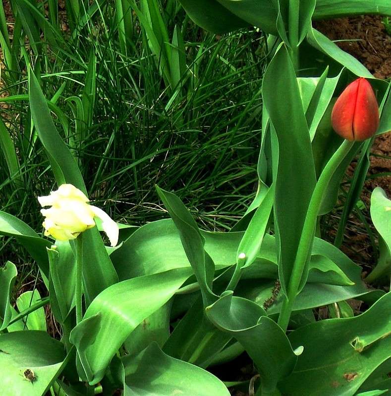 �����. ��� ��� ������... ����� Natali  ��������� �� PhotoGeek.ru #������ ��� ������� #����� ��������������