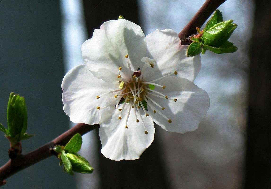 ... ����� Natali  ��������� �� PhotoGeek.ru