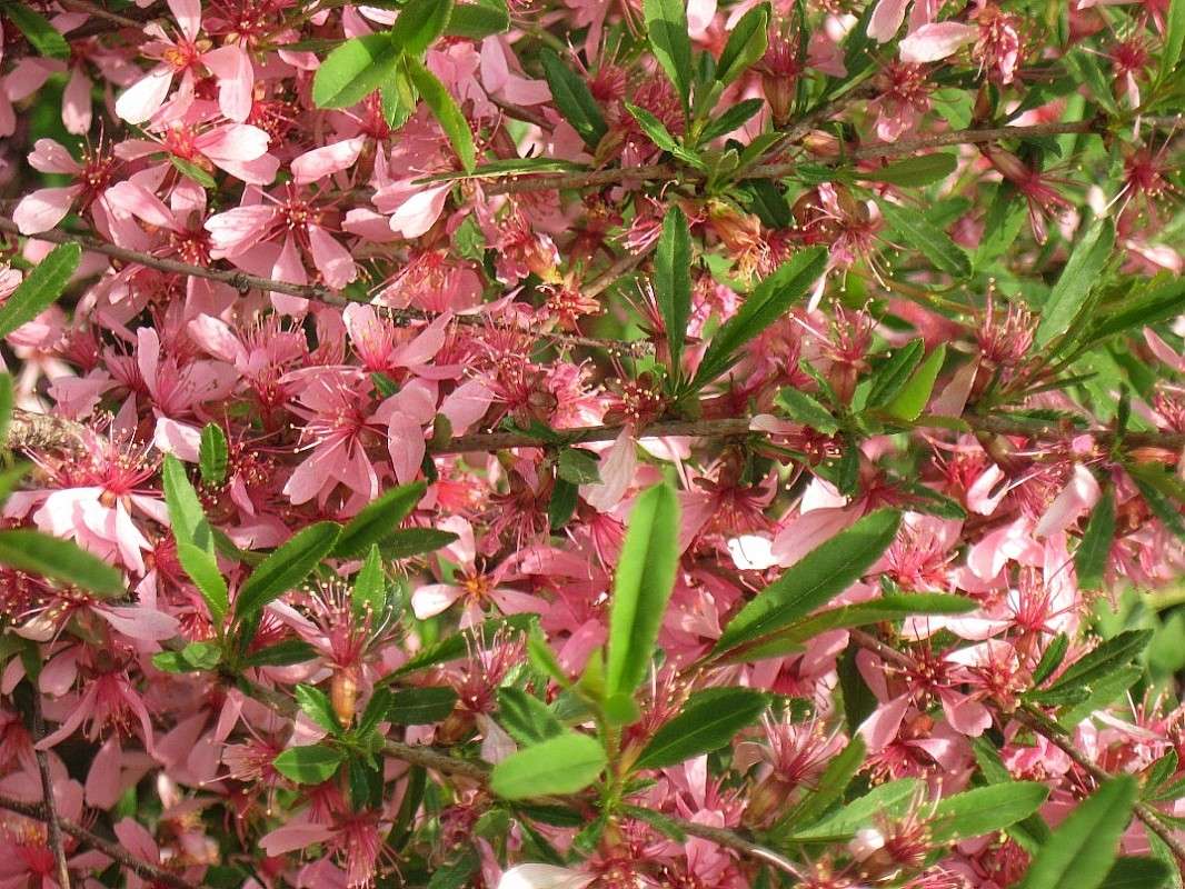 ������� ������... ����� Natali  ��������� �� PhotoGeek.ru #����� ��������������