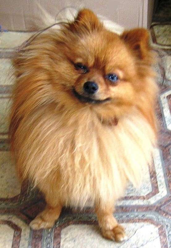 ��� ������. ����� Natali  ��������� �� PhotoGeek.ru #�������� ���