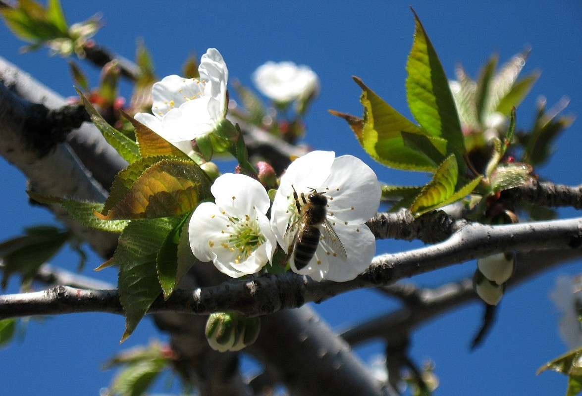 ���� ������������... ����� Natali  ��������� �� PhotoGeek.ru #����� #������ ��� ������� #����� �������������� #���������