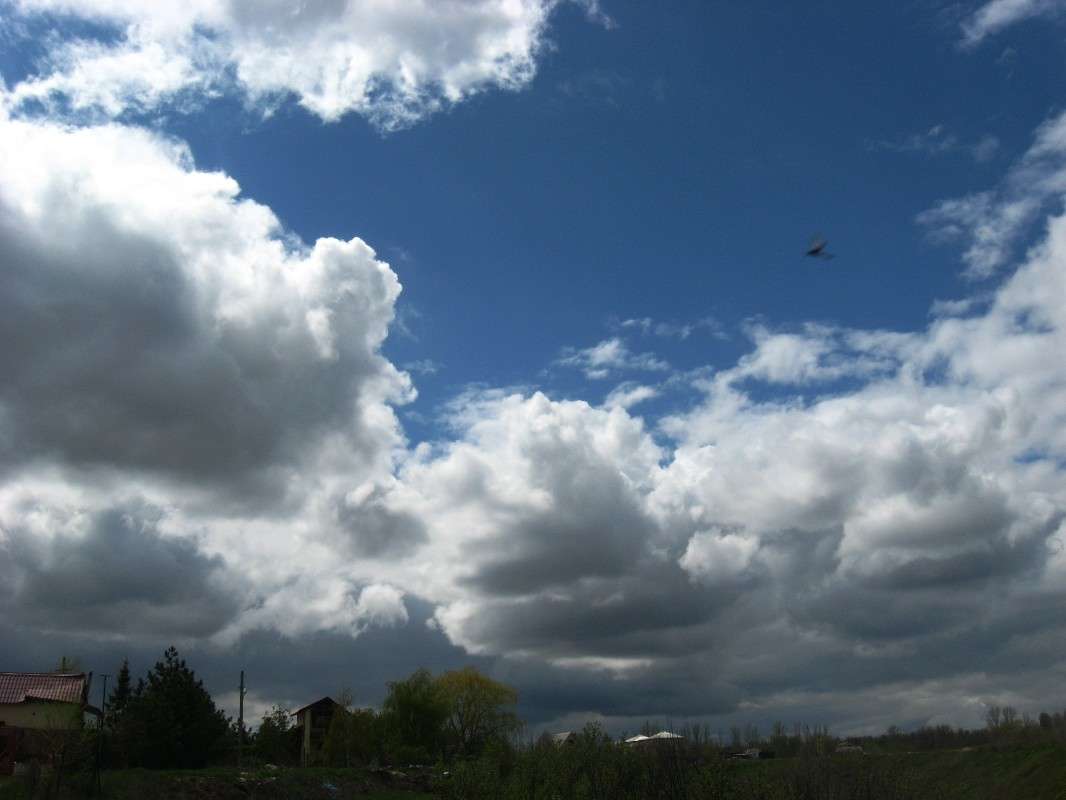 ������ ����� Natali  ��������� �� PhotoGeek.ru #������ ��� �������