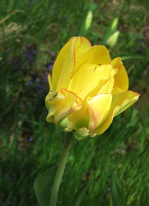 ... ����� Natali  ��������� �� PhotoGeek.ru #������ ��� ������� #����� ��������������