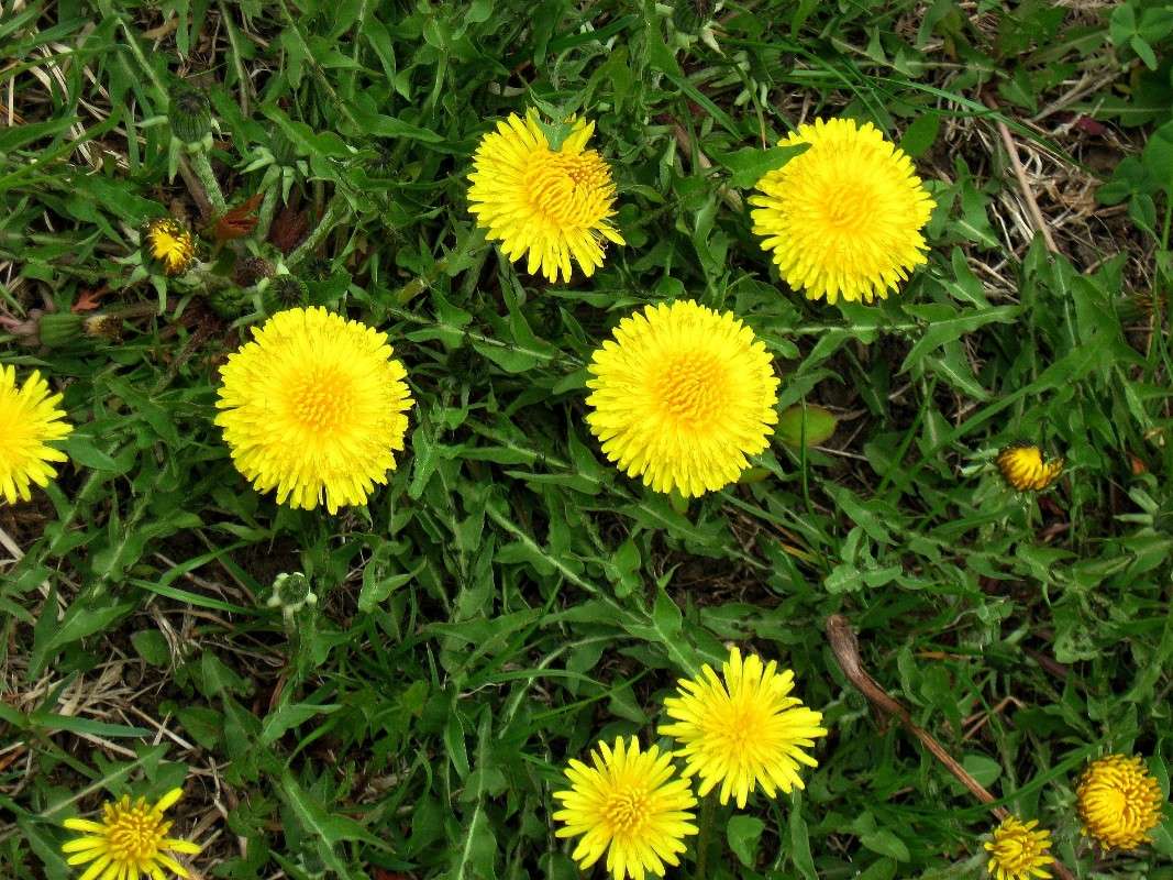 ... ����� Natali  ��������� �� PhotoGeek.ru #������ ��� ������� #����� ��������������