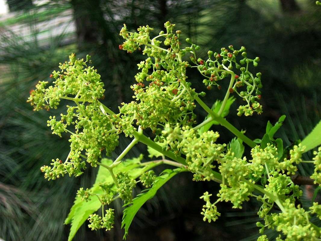 ������ ����� Natali  ��������� �� PhotoGeek.ru #������ ��� ������� #����� ��������������