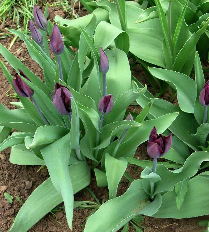 ... ����� Natali  ��������� �� PhotoGeek.ru #������ ��� ������� #����� ��������������