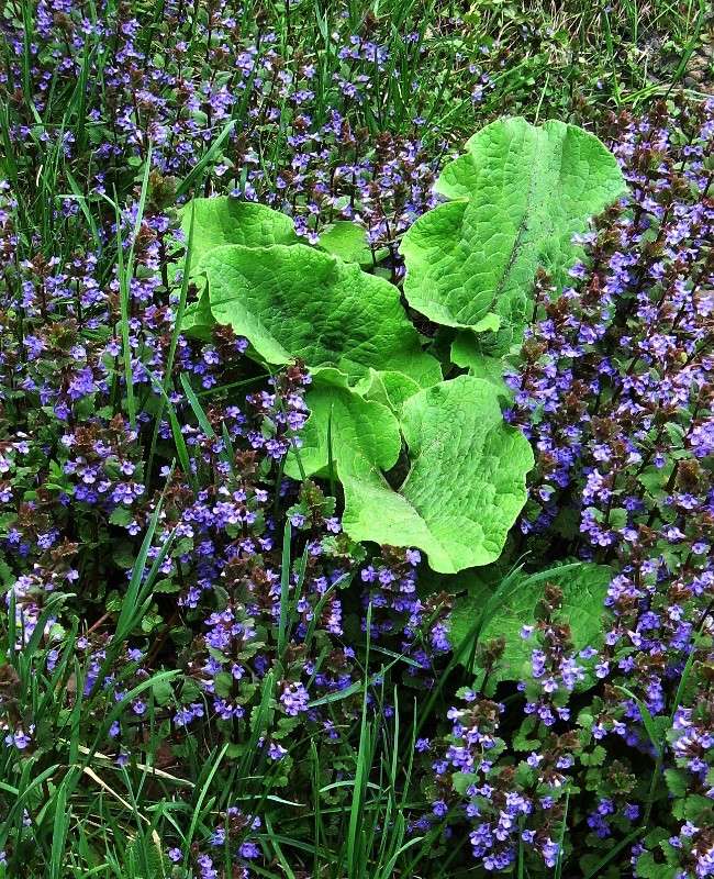 ����� � ��� �������...))) ����� Natali  ��������� �� PhotoGeek.ru #������ ��� ������� #����� ��������������