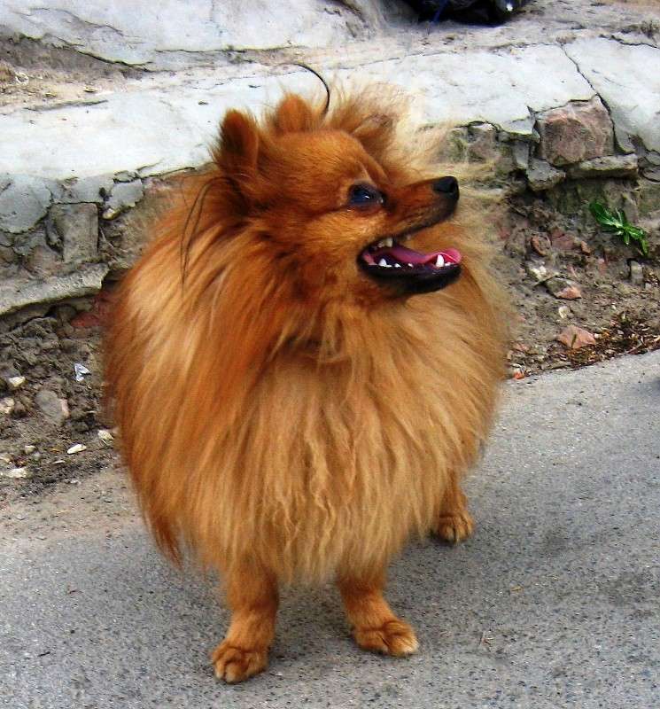 � � ������ ����� ������ �������... ����� Natali  ��������� �� PhotoGeek.ru #�������� ���