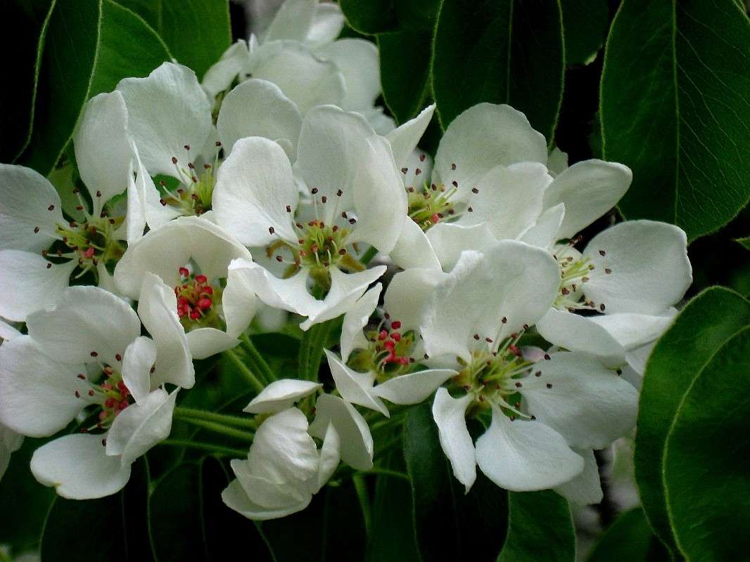 �������������...) ����� Natali  ��������� �� PhotoGeek.ru #������ ��� ������� #����� ��������������