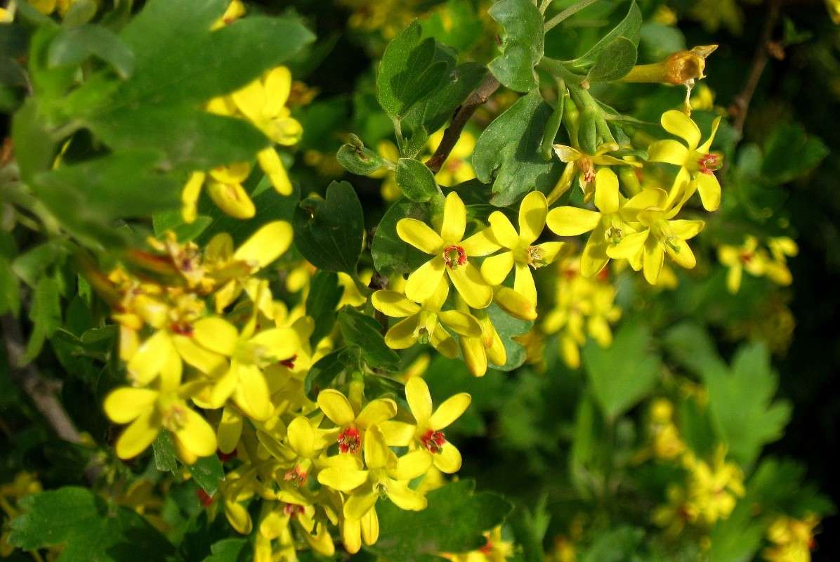 ���������� �������...))) ����� Natali  ��������� �� PhotoGeek.ru #������ ��� ������� #����� ��������������