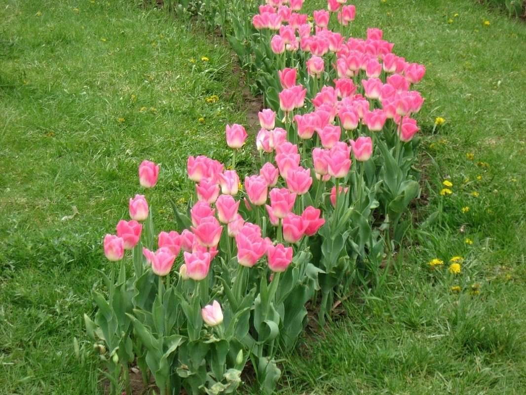 �����.... ����� Natali  ��������� �� PhotoGeek.ru #������ ��� ������� #����� ��������������