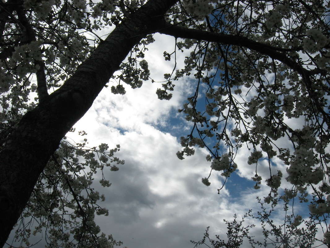 ������ ������ ����� Natali  ��������� �� PhotoGeek.ru #������ ��� ������� #����� ��������������