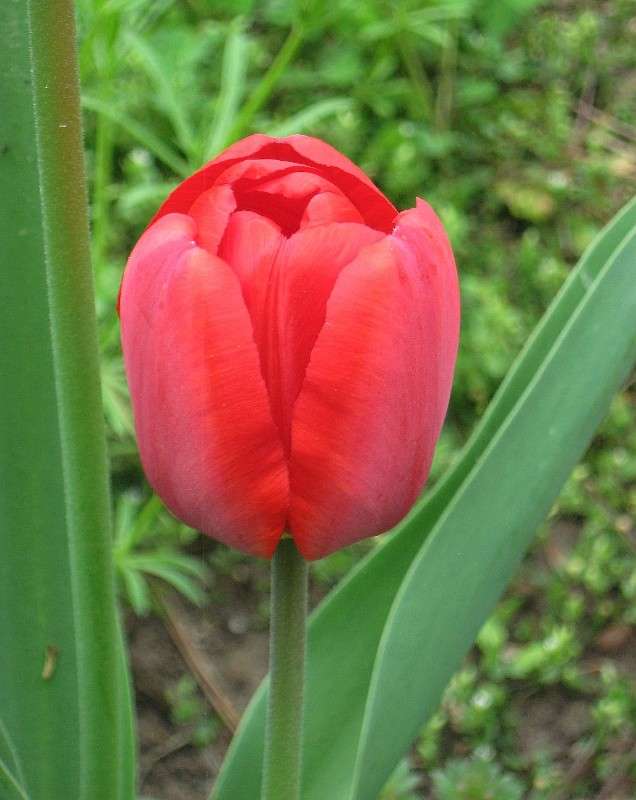 ... ����� Natali  ��������� �� PhotoGeek.ru #����� ��������������