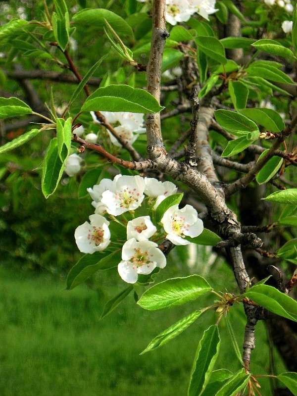 ... ����� Natali  ��������� �� PhotoGeek.ru #������ ��� ������� #����� ��������������