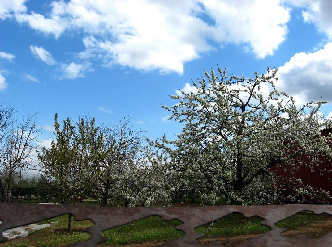 ��� � ����� ��� ����������....) ����� Natali  ��������� �� PhotoGeek.ru #������ ��� ������� #����� ��������������