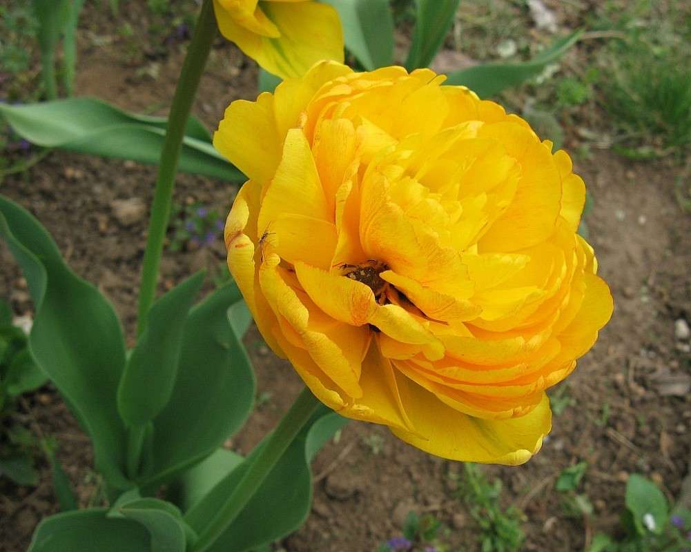 ���, ��� ����� ������ ����... ! ))) ����� Natali  ��������� �� PhotoGeek.ru #������ ��� ������� #����� ��������������