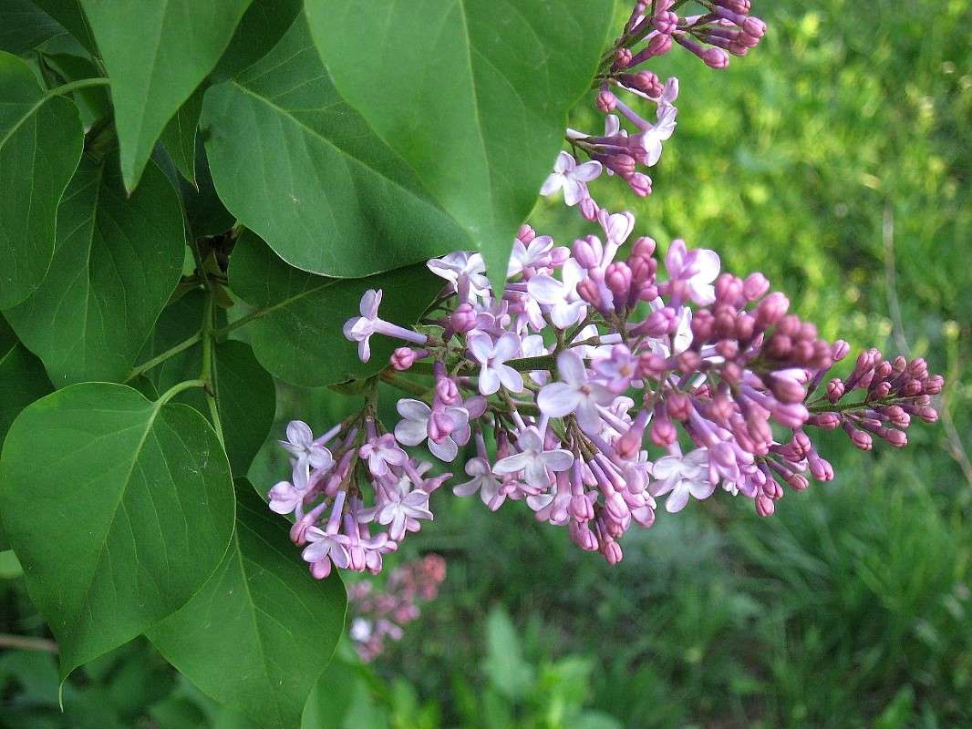 ... ����� Natali  ��������� �� PhotoGeek.ru #������ ��� ������� #����� ��������������