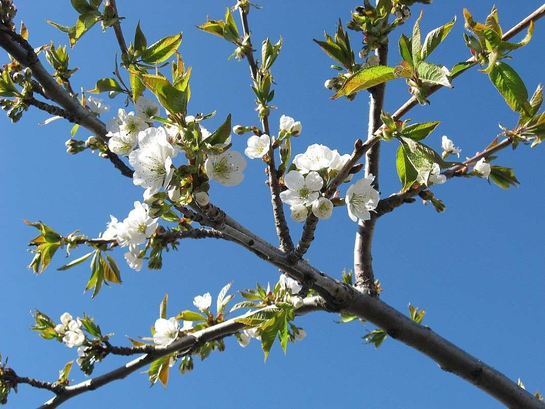 ... ����� Natali  ��������� �� PhotoGeek.ru #������ ��� ������� #����� ��������������