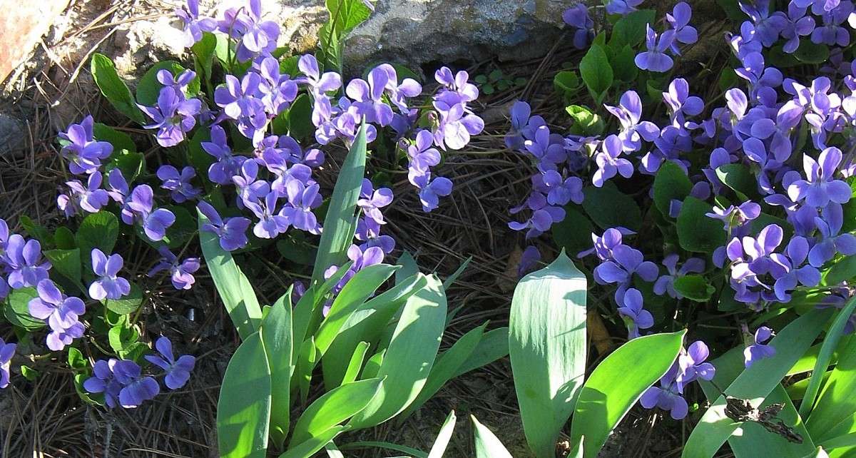 ... ����� Natali  ��������� �� PhotoGeek.ru #������ ��� ������� #����� ��������������