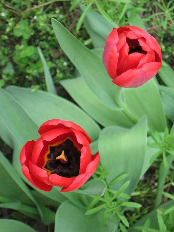 ... ����� Natali  ��������� �� PhotoGeek.ru #������ ��� ������� #����� ��������������