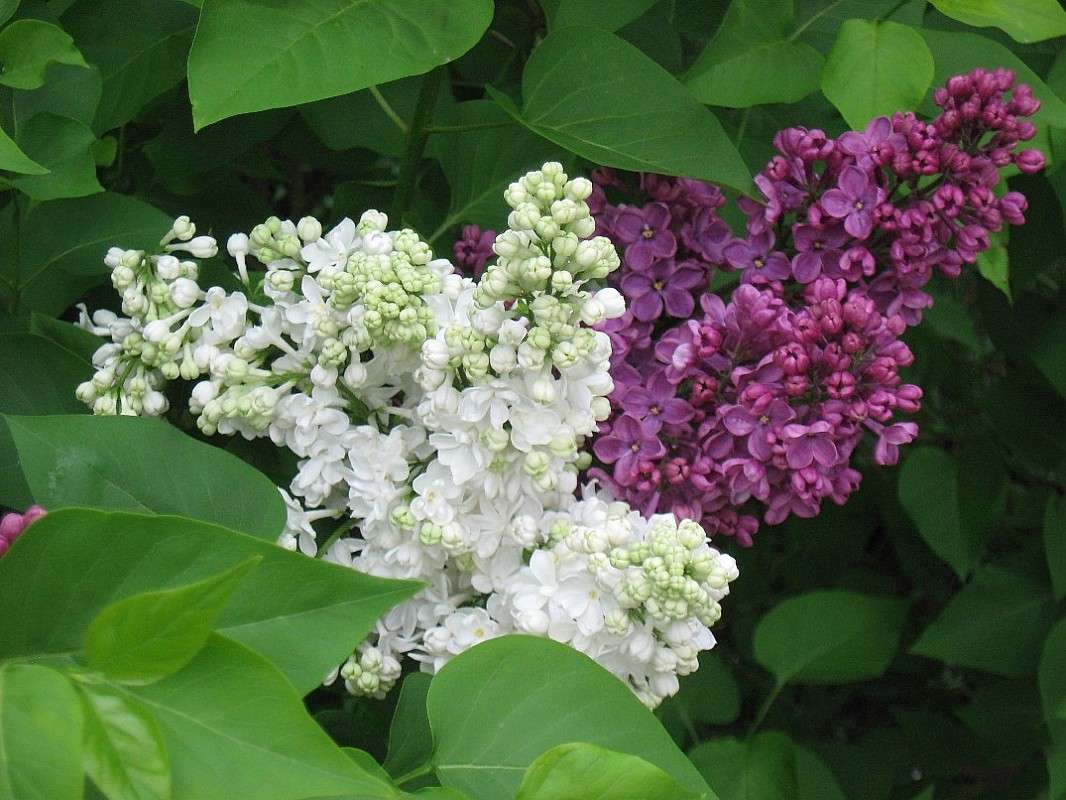 ... ����� Natali  ��������� �� PhotoGeek.ru #������ ��� ������� #����� ��������������