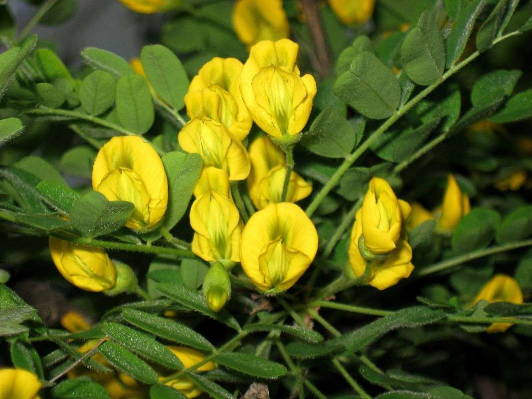 �������... ����� Natali  ��������� �� PhotoGeek.ru #������ ��� ������� #����� ��������������