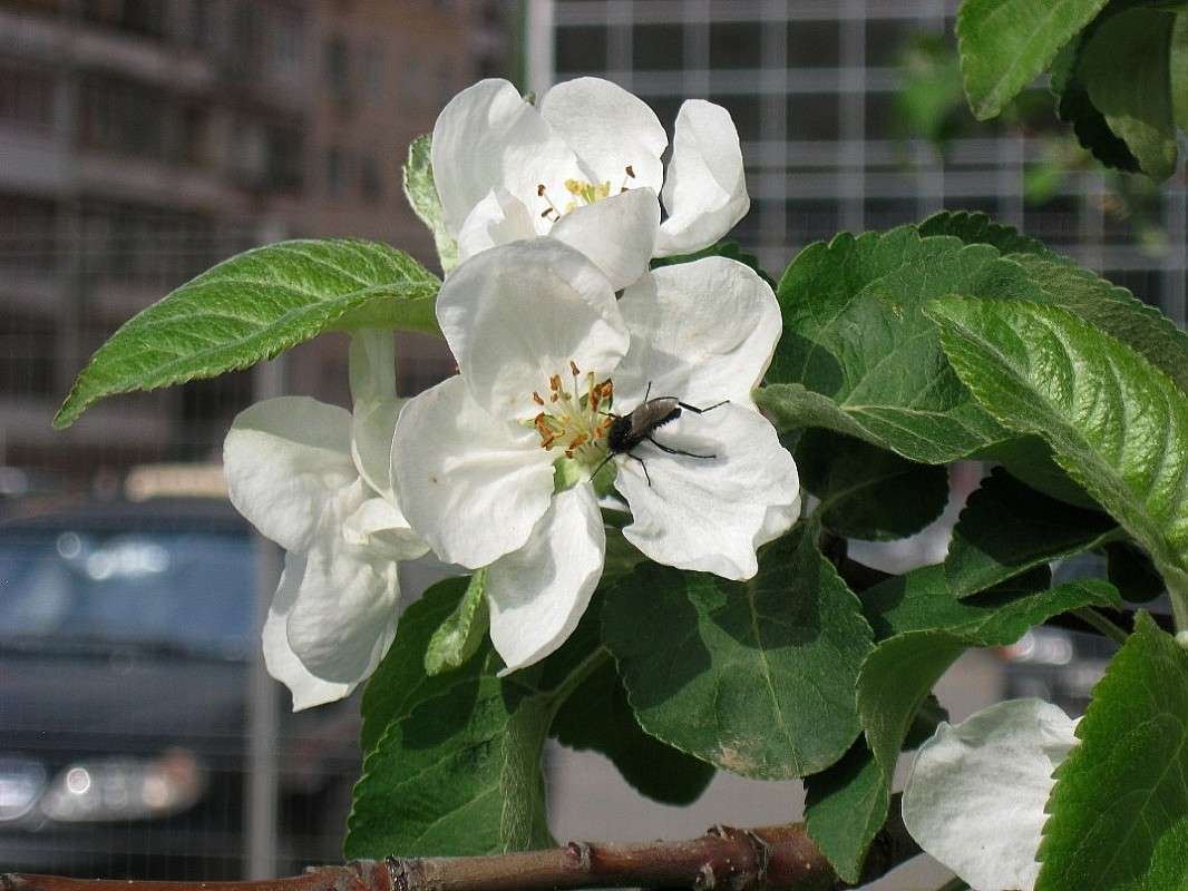 ��������� ����..� ���-��� ����...) ����� Natali  ��������� �� PhotoGeek.ru #������ ��� ������� #����� ��������������