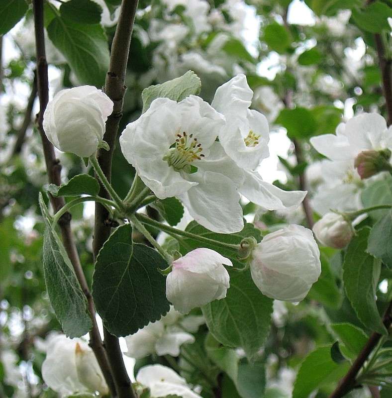 �������� ����� Natali  ��������� �� PhotoGeek.ru #������ ��� ������� #����� ��������������