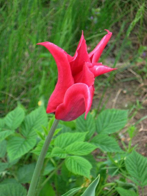 ��� �� �������� ?!...) ����� Natali  ��������� �� PhotoGeek.ru #������ ��� ������� #����� ��������������