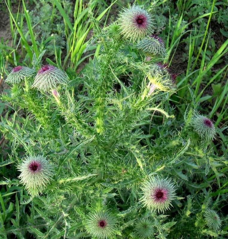 ��� �� �������... ����� Natali  ��������� �� PhotoGeek.ru #������ ��� ������� #����� ��������������