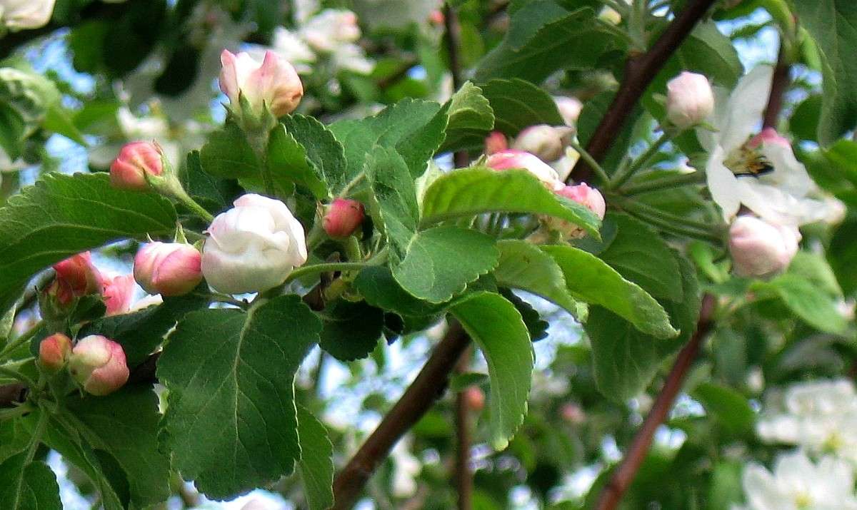 ������ ����� Natali  ��������� �� PhotoGeek.ru #������ ��� ������� #����� ��������������