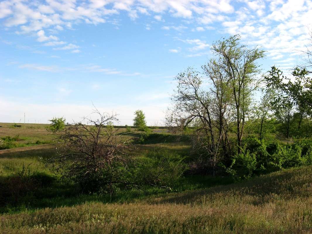 ��������������� ���� ����� Natali  ��������� �� PhotoGeek.ru #������ ��� ������� #����� ��������������