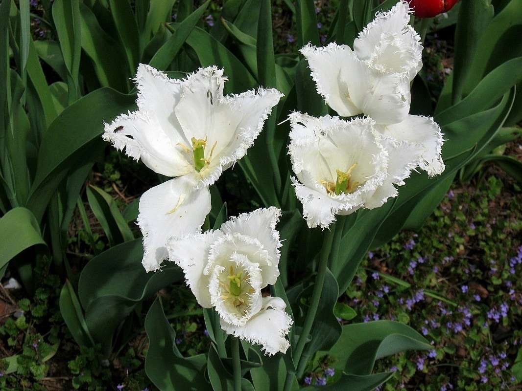 ��������... ����� Natali  ��������� �� PhotoGeek.ru #������ ��� ������� #����� ��������������