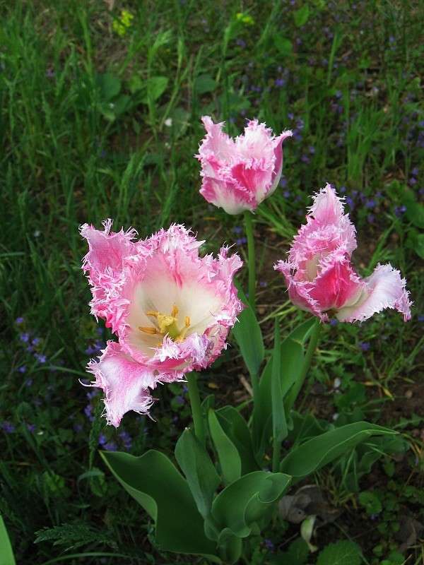 ��������...2 ����� Natali  ��������� �� PhotoGeek.ru #������ ��� ������� #����� ��������������