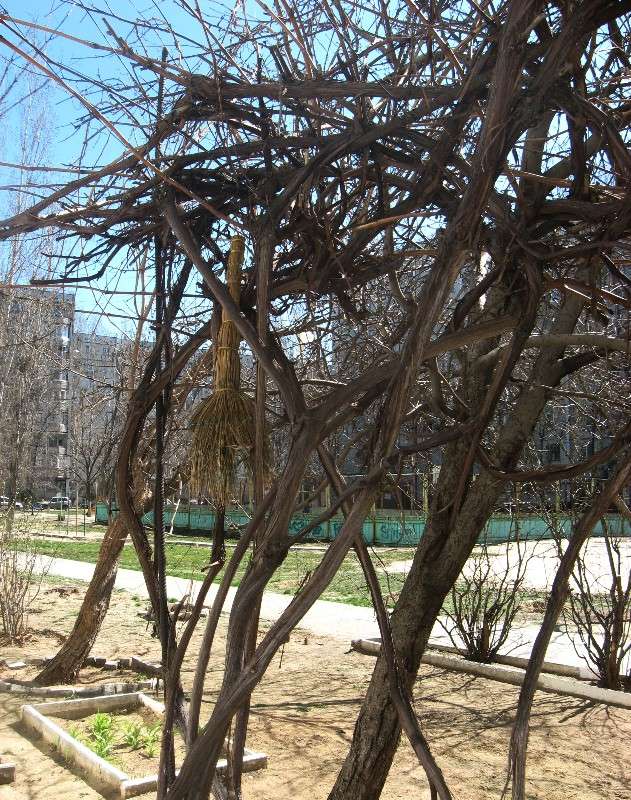 � ��������..���...������� ������...) ����� Natali  ��������� �� PhotoGeek.ru #�������� ����������