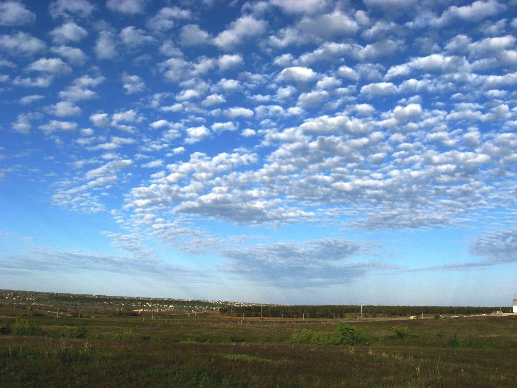 ������� ����� Natali  ��������� �� PhotoGeek.ru #������ ��� ������� #����� ��������������