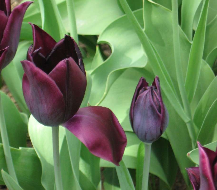 ... ����� Natali  ��������� �� PhotoGeek.ru #������ ��� ������� #����� ��������������